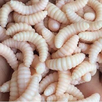 50pcs artificial soft maggot grub fishing lure